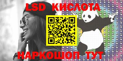 ECSTASY Новодвинск