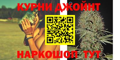 ECSTASY Новодвинск